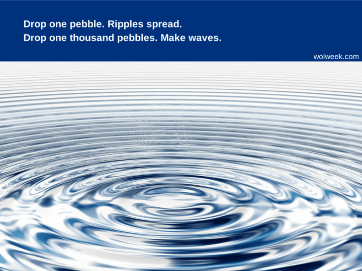 One week drops a pebble into the pond.